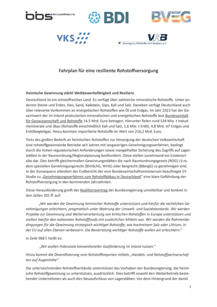 thumbnail of Strategiepapier_Fahrplan für eine reseiliente Rohstoffversorgung